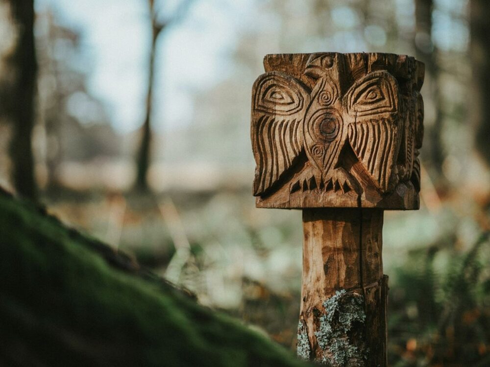 Timberki na słupku – jak wybrać modne i wygodne buty na chłodne dni